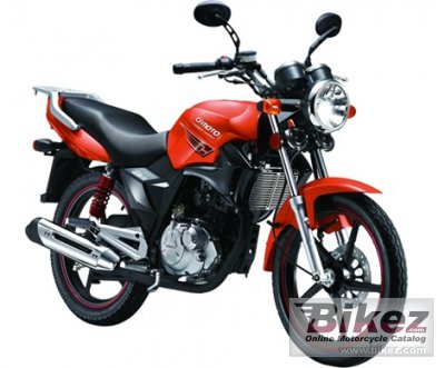 2013 CF Moto Leader photo